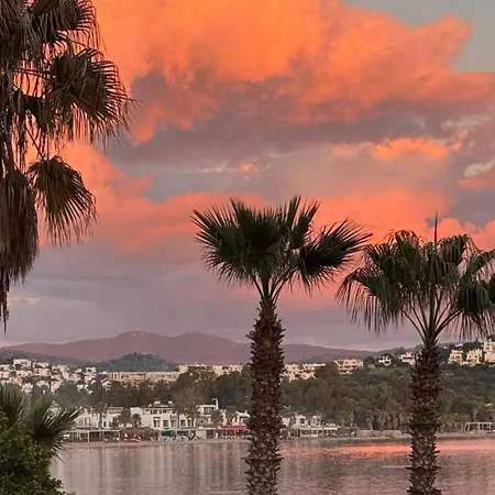 Xo Bjv 호스텔 Bodrum